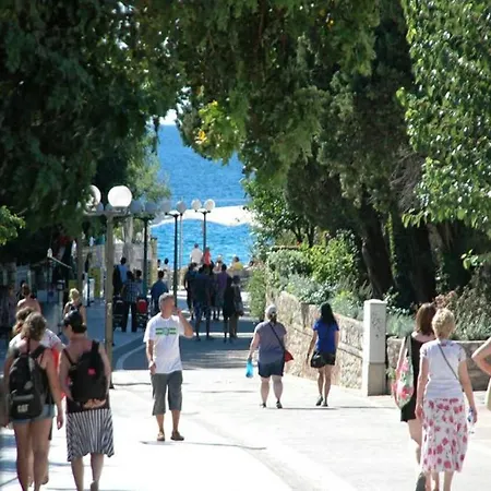 Rose Of Apartment Dubrovnik