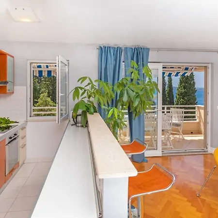 Apartment Rose Of