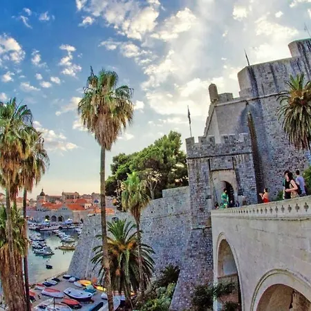 Rose Of * Dubrovnik